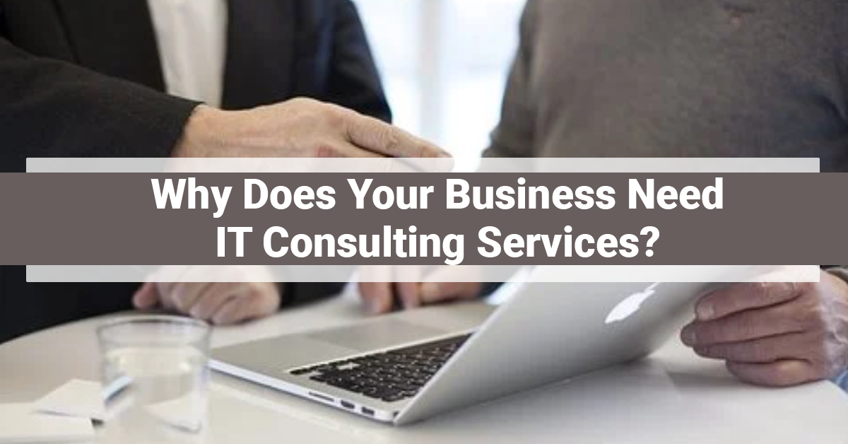 Why Does Your Business Need IT Consulting Services?